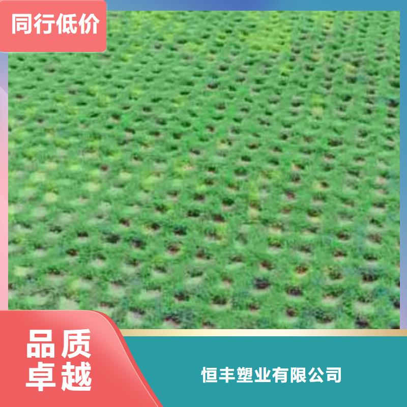 植草格塑料盲沟货品齐全