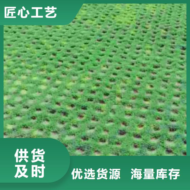 植草格塑料盲沟热销产品
