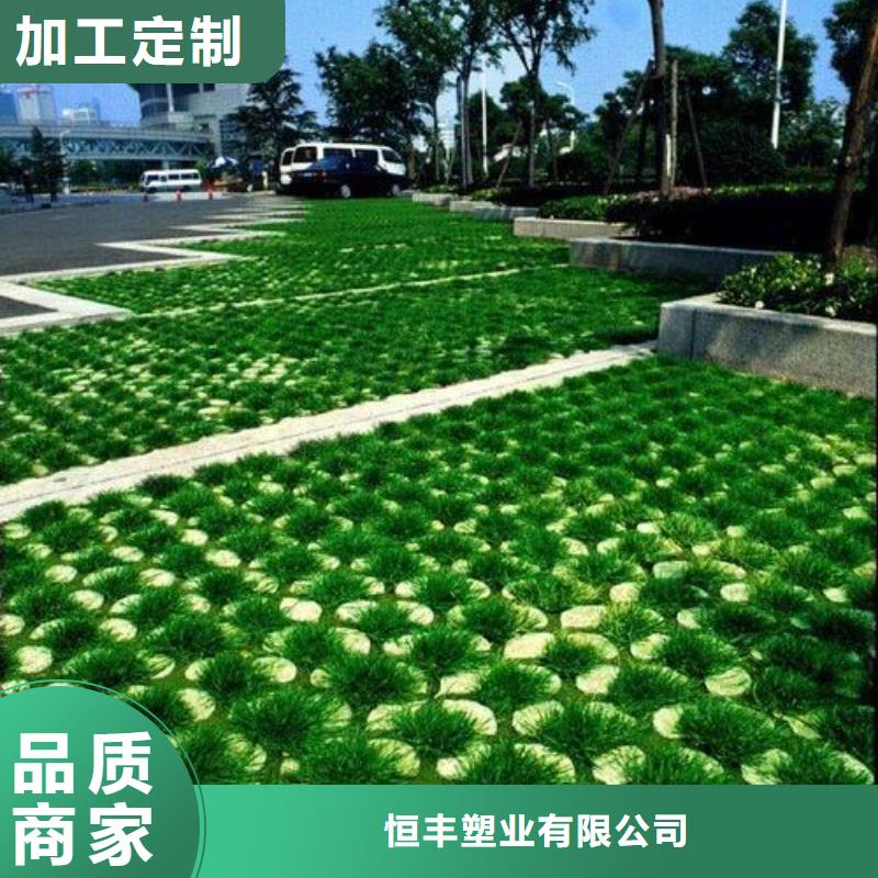 植草格塑料盲沟货品齐全