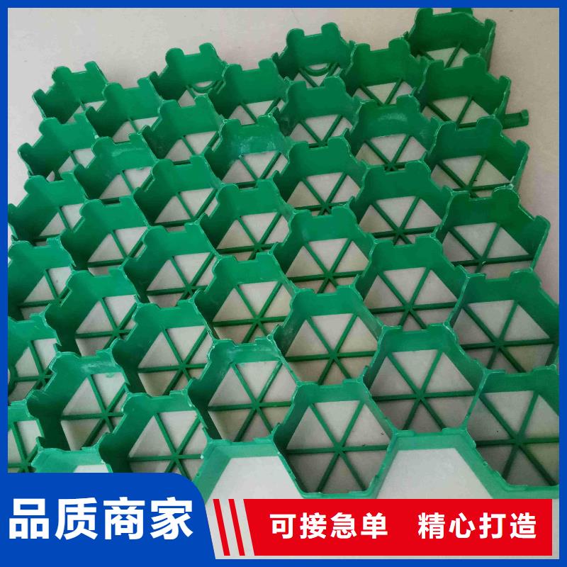 植草格PP焊接土工格栅厂家直销货源充足