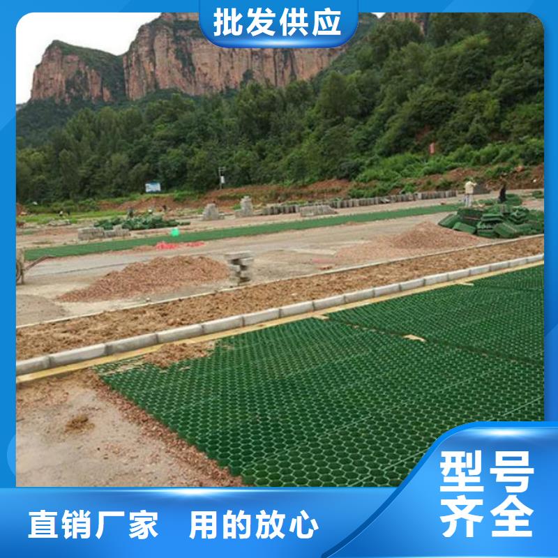 植草格塑料盲沟货品齐全
