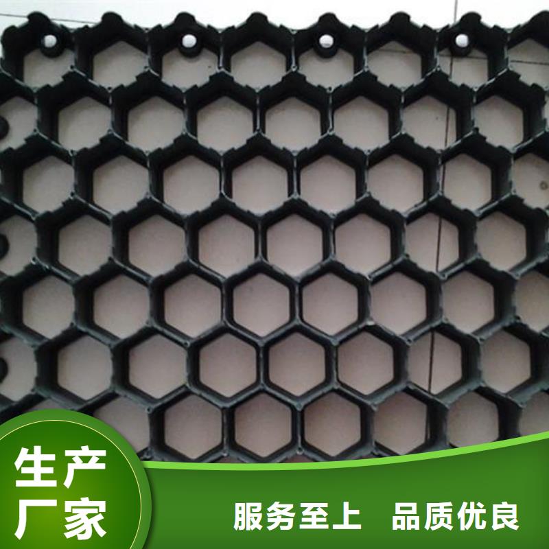 植草格PP焊接土工格栅多种场景适用