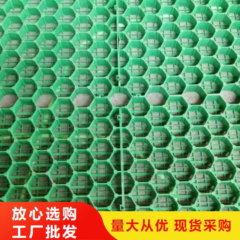 长丝土工布-视频-长丝土工布_江西省宜春市市场覆盖袁州|奉新|景德镇|九江|抚州|新余|吉安|上饶|赣州等