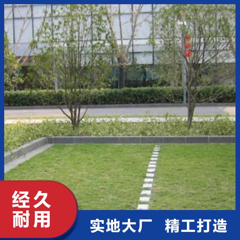 植草格PP焊接土工格栅多种场景适用