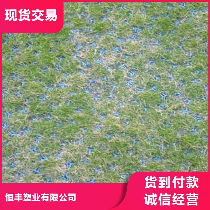 植草格PP焊接土工格栅厂家直销货源充足