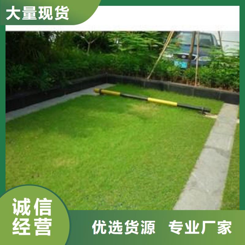 植草格塑料盲沟热销产品