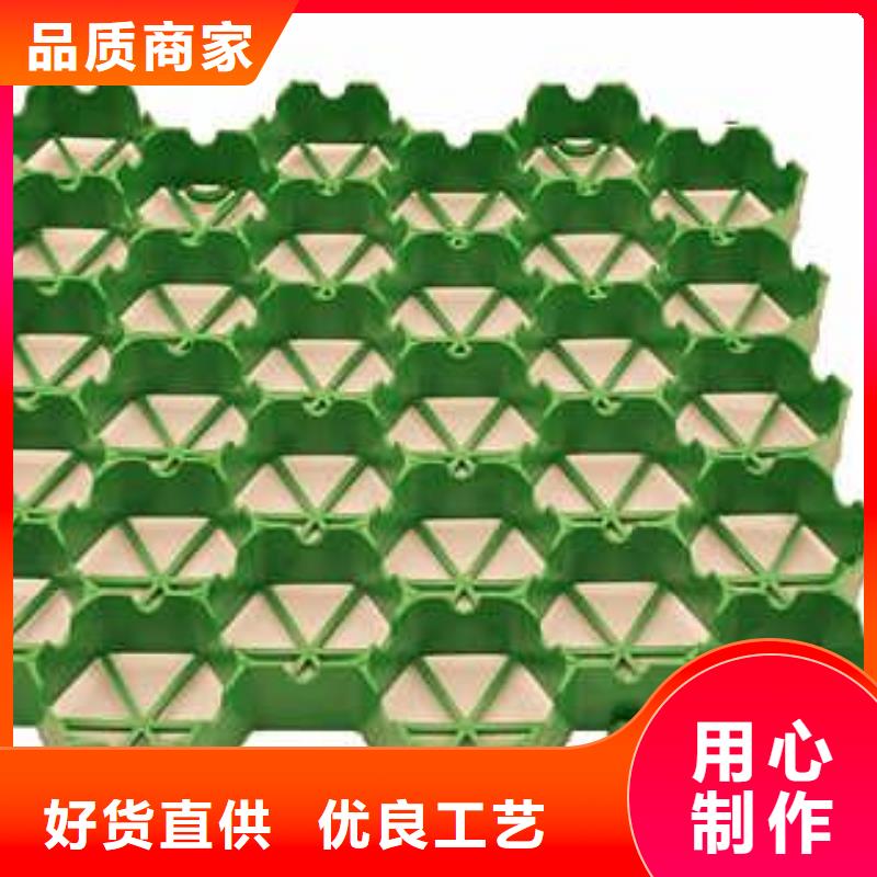 植草格PP焊接土工格栅厂家直销货源充足