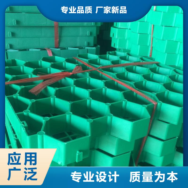 植草格PP焊接土工格栅多种场景适用