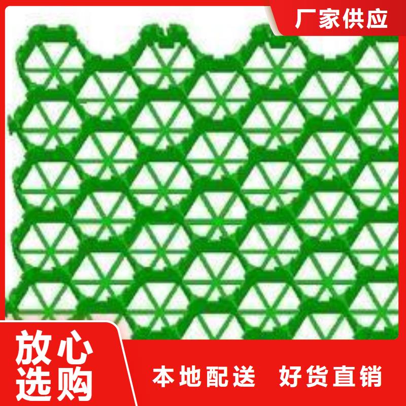 植草格PP焊接土工格栅厂家直销货源充足