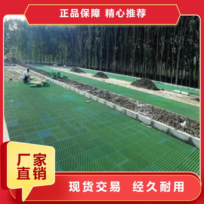 植草格PP焊接土工格栅厂家直销货源充足