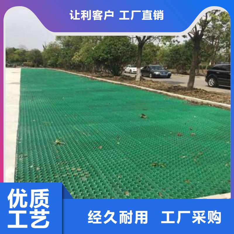 植草格PP焊接土工格栅厂家直销货源充足