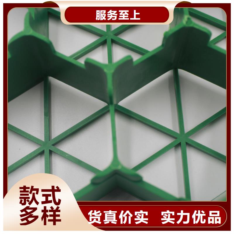 植草格PP焊接土工格栅厂家直销货源充足