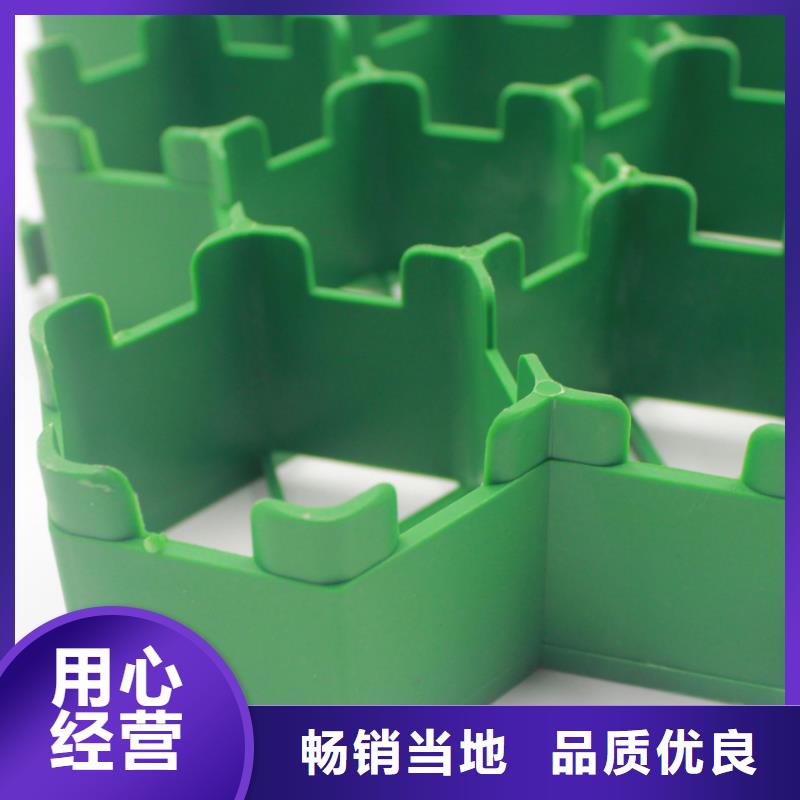 植草格PP焊接土工格栅厂家直销货源充足