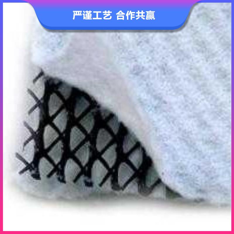 三维复合排水网涤纶土工格栅来图定制