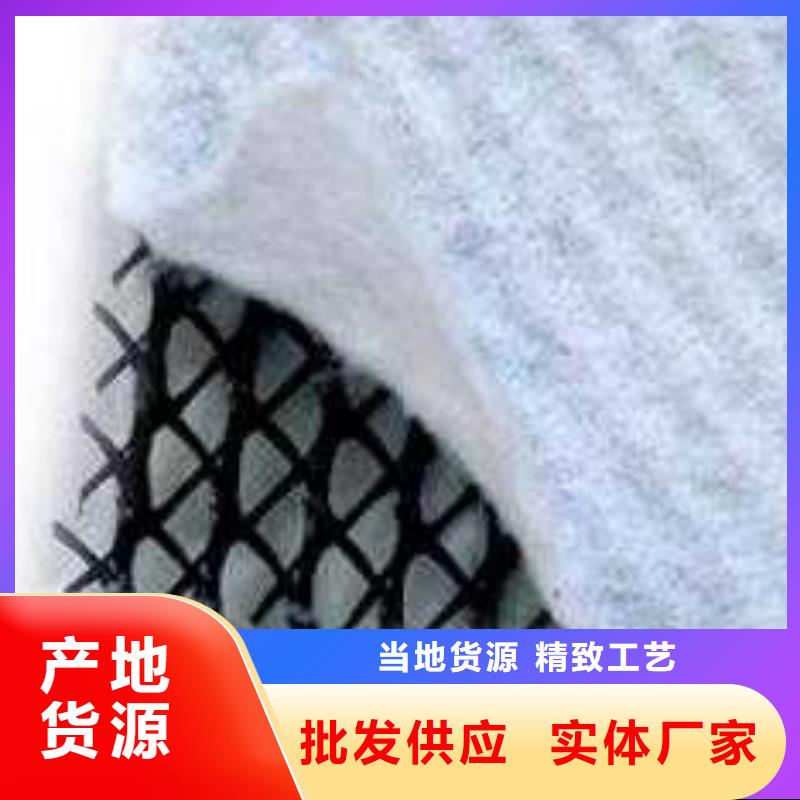 三维复合排水网_土工格室品质保障售后无忧