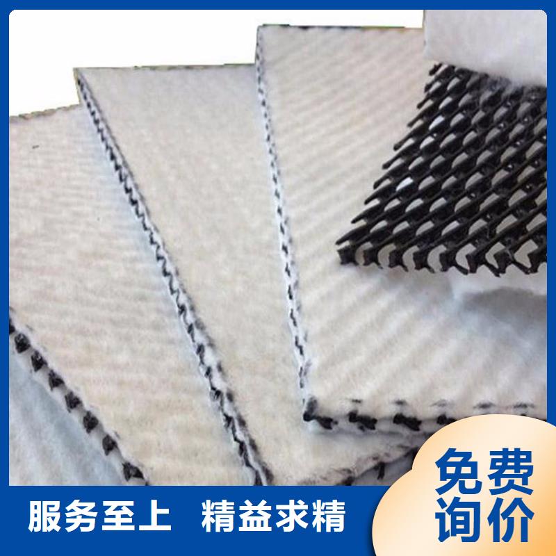 三维复合排水网涤纶土工格栅来图定制