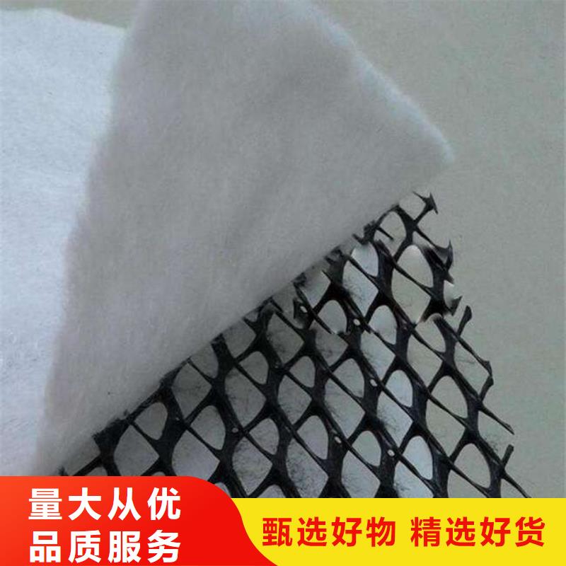 三维复合排水网涤纶土工格栅来图定制