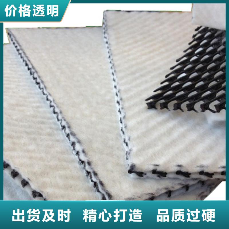 三维复合排水网涤纶土工格栅来图定制
