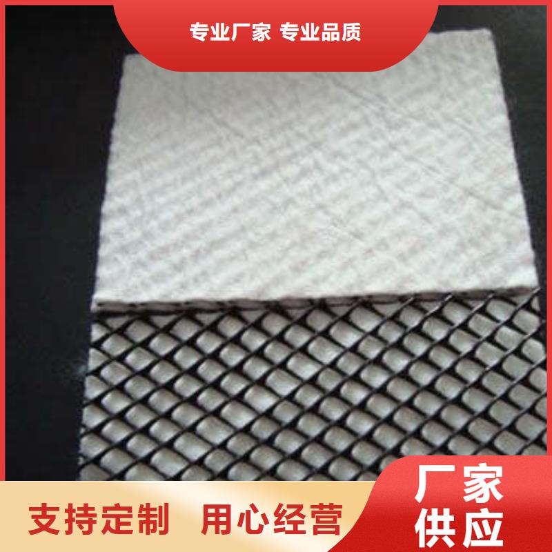 三维复合排水网涤纶土工格栅来图定制