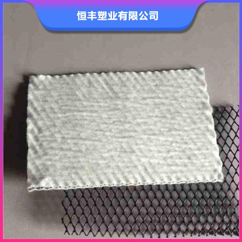三维复合排水网涤纶土工格栅来图定制
