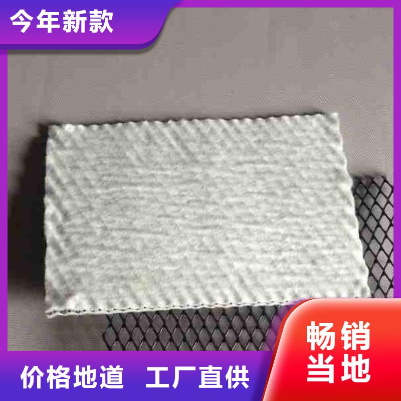 三维复合排水网_土工格室品质保障售后无忧