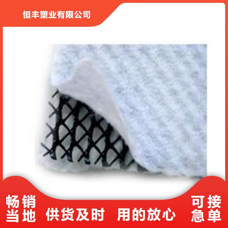 三维复合排水网涤纶土工格栅来图定制