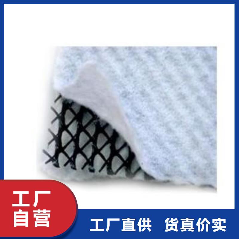 三维复合排水网_土工格室品质保障售后无忧