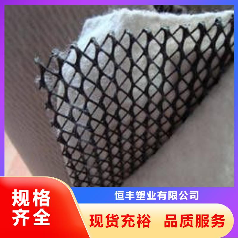 三维复合排水网涤纶土工格栅来图定制