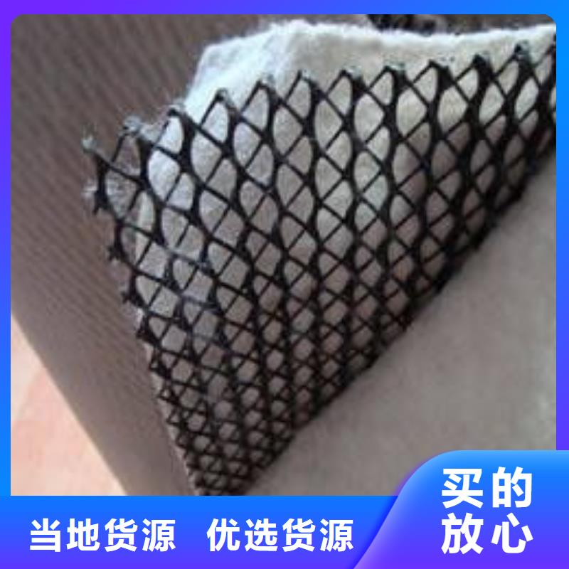 三维复合排水网_土工格室品质保障售后无忧