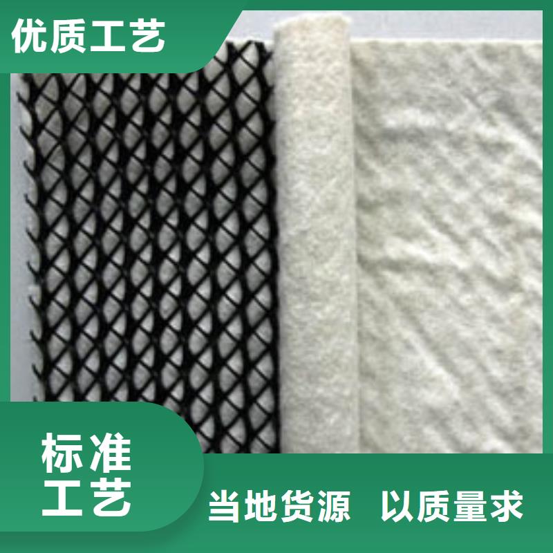 三维复合排水网涤纶土工格栅来图定制