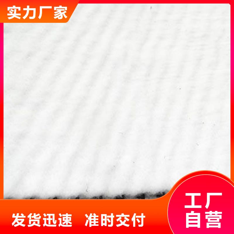 三维复合排水网涤纶土工格栅来图定制