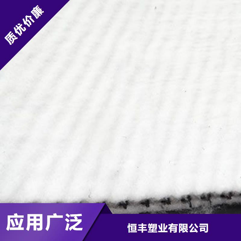 三维复合排水网_土工格室品质保障售后无忧
