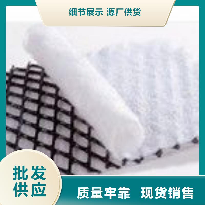 三维复合排水网涤纶土工格栅来图定制