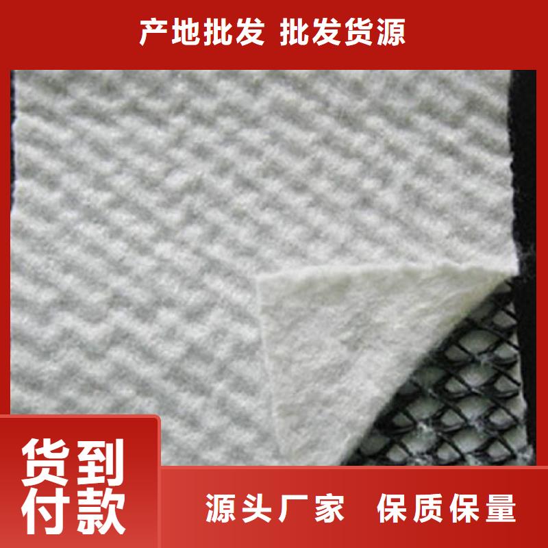 三维复合排水网涤纶土工格栅来图定制