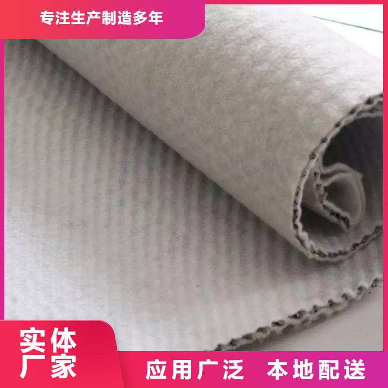 三维复合排水网防渗土工膜热销产品