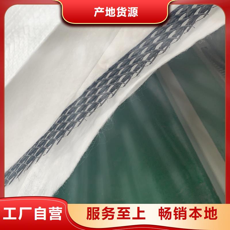 三维复合排水网涤纶土工格栅来图定制