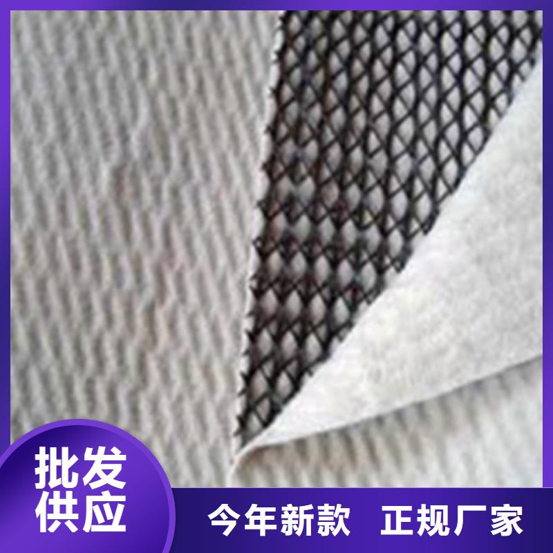 长丝土工布-视频-长丝土工布-安徽省巢湖市宿州|安庆|马鞍山|淮南|蚌埠|阜阳【同城】生产商