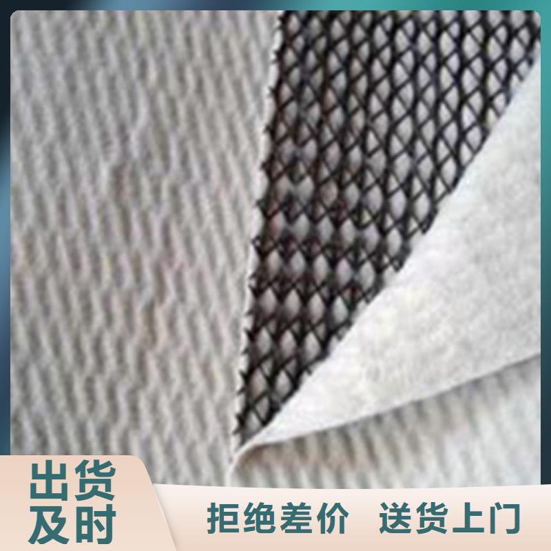 三维复合排水网涤纶土工格栅来图定制