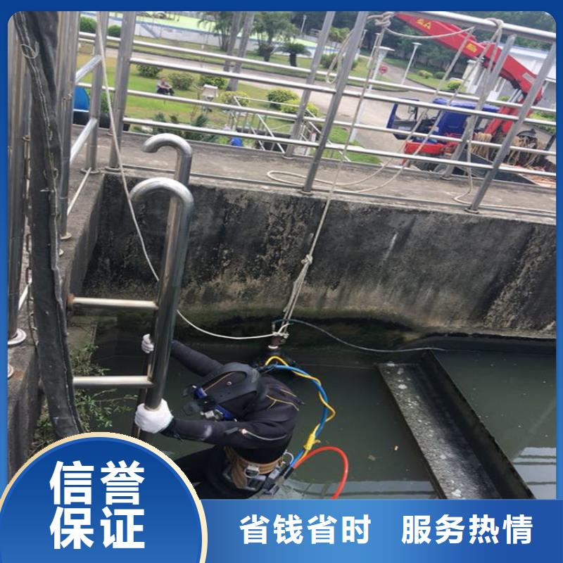  潜水员服务公司服务热情