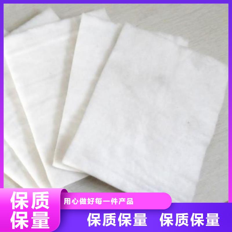 土工布玻纤土工格栅服务至上