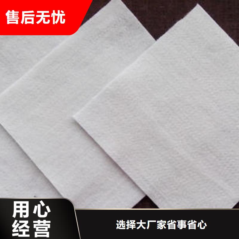 土工布_塑料土工格栅厂家定制