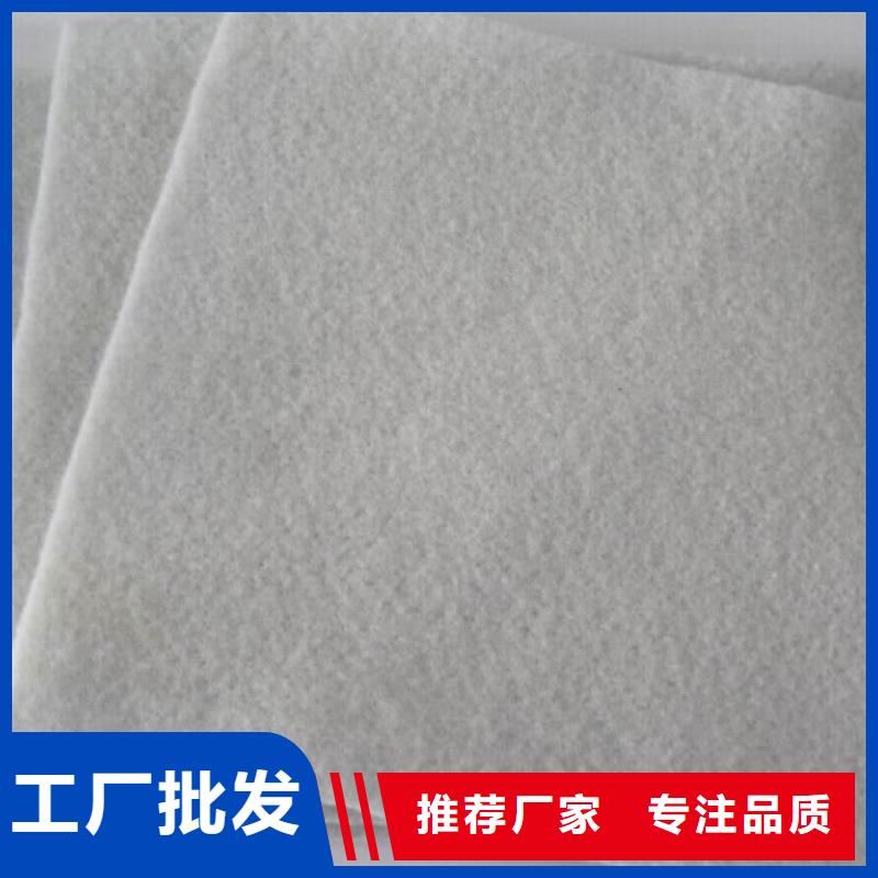 防水土工布-视频-防水土工布|营口市|鲅鱼圈|大石桥|抚顺|丹东|铁岭|大连