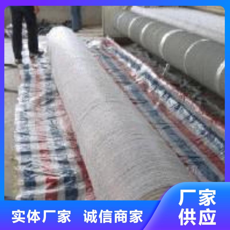 2025膨润土防水毯型号齐全-可定制