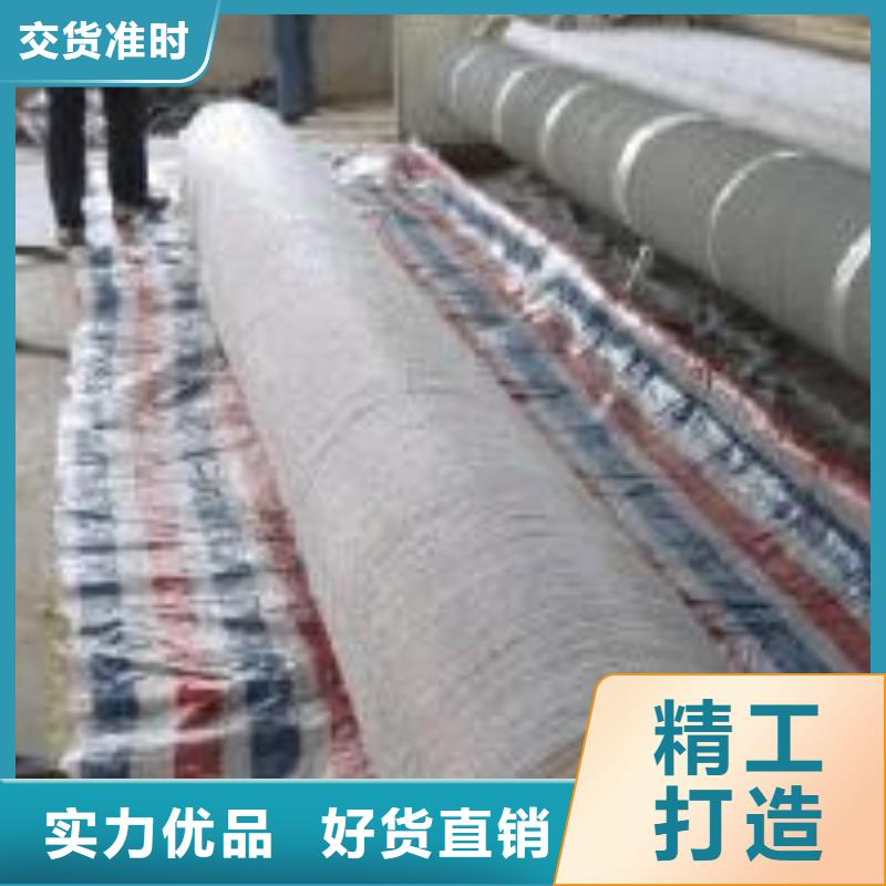 膨润土防水毯钢塑土工格栅多年实力厂家