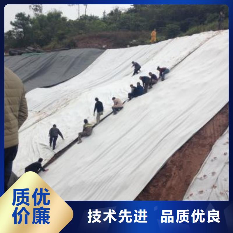 2025GCL膨润土防水毯型号齐全-可定制