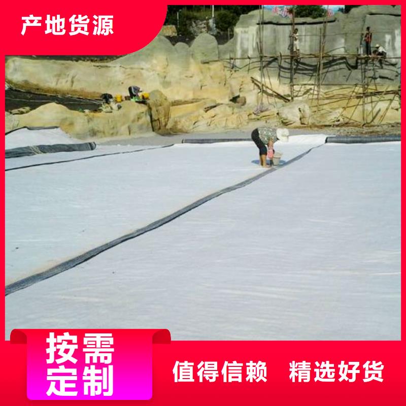 膨润土防水毯_土工席垫经销商