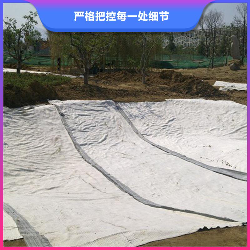 2025GCL膨润土防水毯型号齐全-可定制
