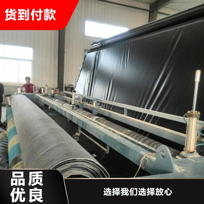 膨润土防水毯反滤土工布当日价格