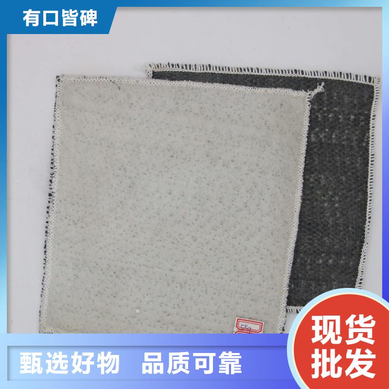 膨润土防水毯钢塑土工格栅多年实力厂家