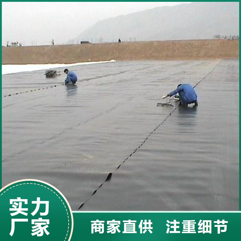 土工膜,凸结点钢塑土工格栅品质服务